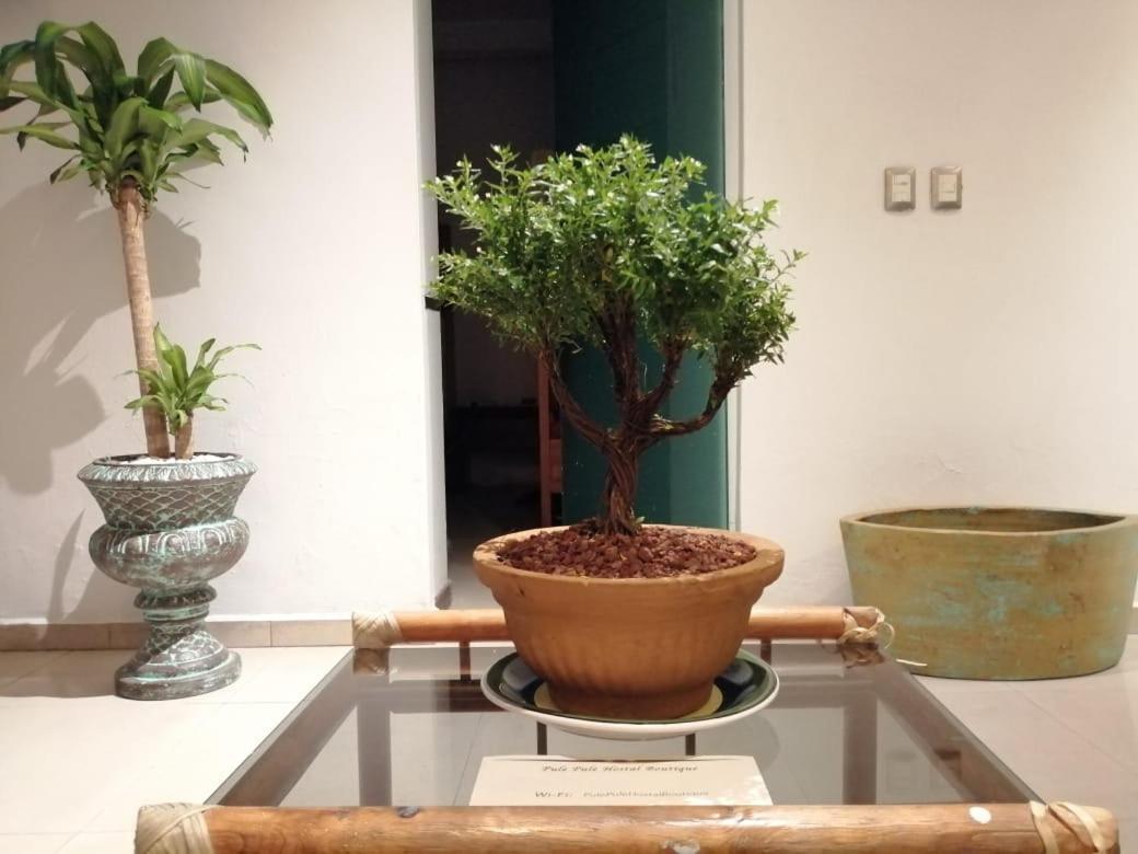 גואדלחארה Pule Pule Hostal Boutique מראה חיצוני תמונה